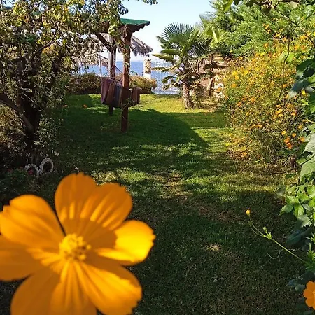 Eleonwra's House Holiday home *