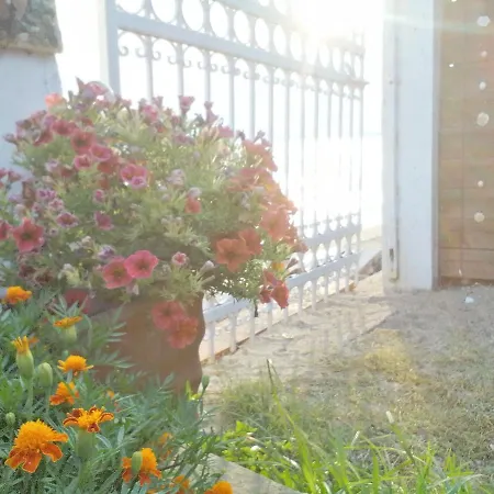 Casa de Férias Eleonwra's House *